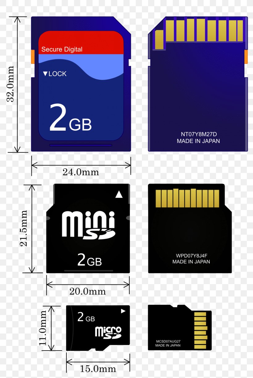 MiniSD Card Secure Digital MicroSD Flash Memory Cards Computer Data Storage, PNG, 810x1224px, Minisd Card, Adapter, Brand, Camera, Computer Download Free