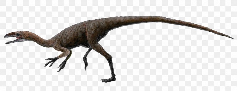 Aristosuchus Sinocalliopteryx Coelurus Barremian Tyrannosauroidea, PNG, 1280x494px, Aristosuchus, Animal Figure, Barremian, Carnivoran, Coelurosauria Download Free
