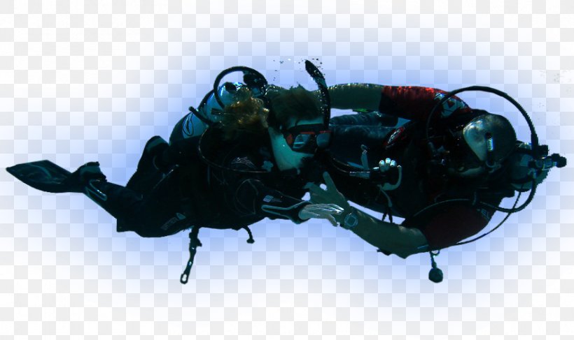 Beetle Buoyancy Compensators Scarab Insect, PNG, 885x526px, Beetle, Arthropod, Buoyancy, Buoyancy Compensator, Buoyancy Compensators Download Free