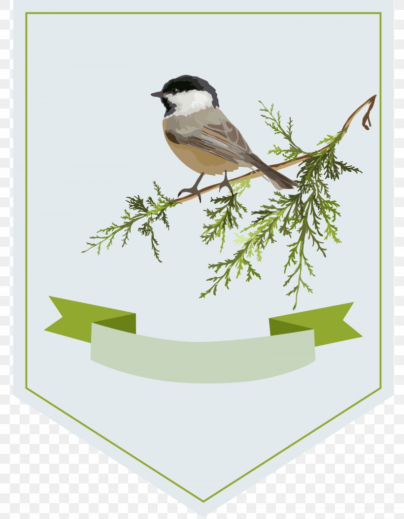 Bird Clip Art, PNG, 3116x4000px, Bird, Beak, Branch, Chickadee, Computer Graphics Download Free