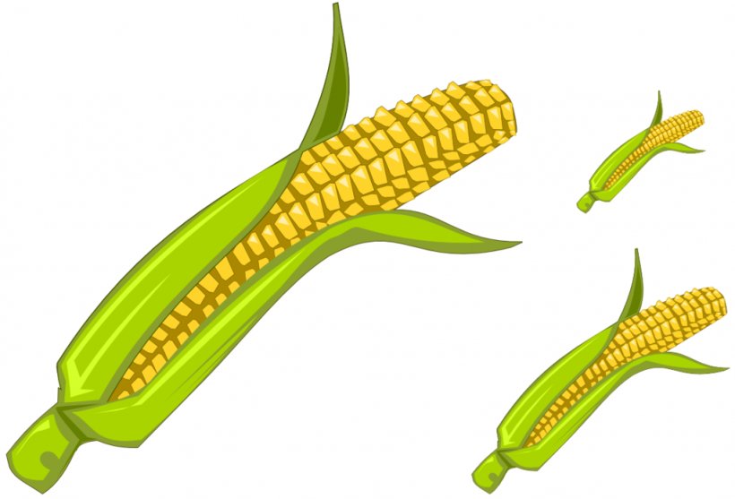 Candy Corn Corn On The Cob Maize Sweet Corn Clip Art, PNG, 1024x696px, Candy Corn, Commodity, Corn On The Cob, Crop, Ear Download Free