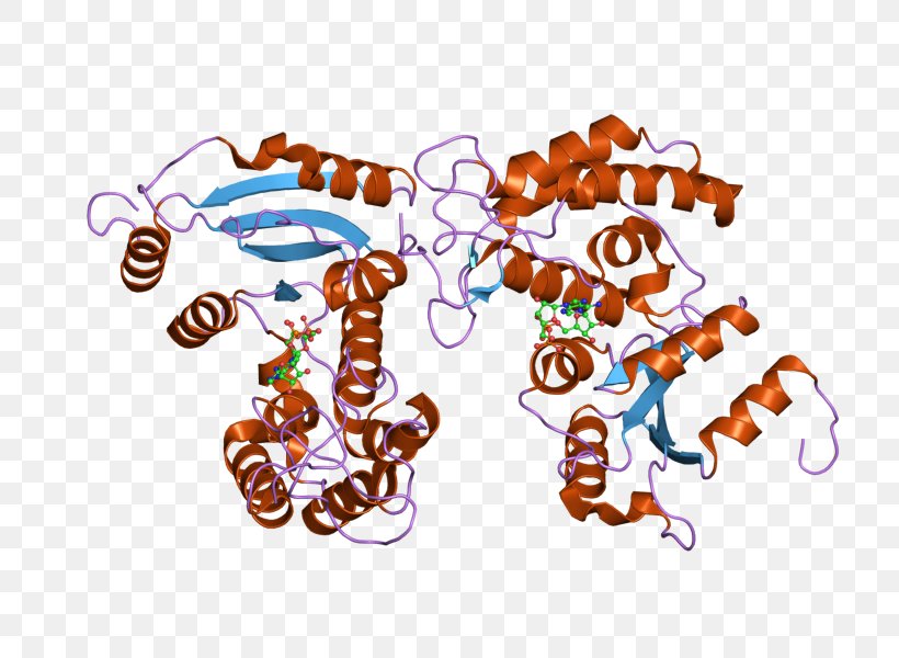 CD38 Glycoprotein Cluster Of Differentiation Immune System White Blood Cell, PNG, 800x600px, Glycoprotein, Adenosine Diphosphate, Art, Blood Cell, Cell Download Free