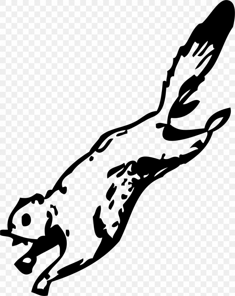 Flying Squirrel Clip Art, PNG, 1772x2230px, Squirrel, Amphibian, Art, Beak, Bird Download Free