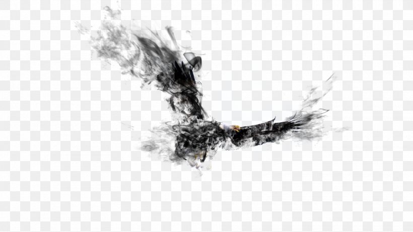 Ink Hawk, PNG, 1920x1080px, Ink, Black And White, Brand, Eagle, Fundal Download Free