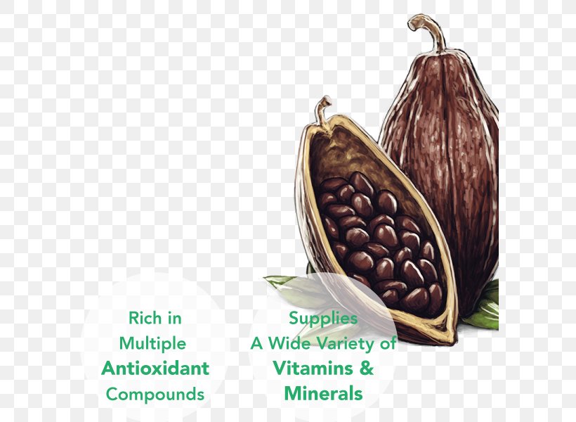 Lucuma Superfood Germinated Brown Rice Sprouting, PNG, 600x600px, Lucuma, Branchedchain Amino Acid, Brown Rice, Cocoa Bean, Commodity Download Free