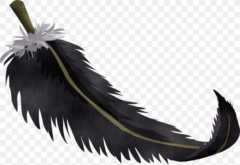 Feather, PNG, 1920x1324px, Watercolor, Bird, Drawing, Eagle, Feather Download Free