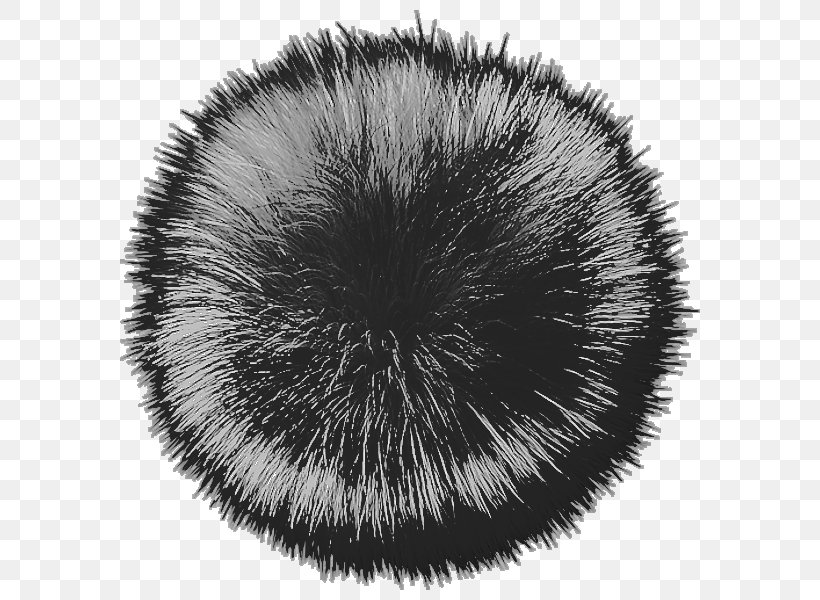 Fur Snout White Black M, PNG, 600x600px, Fur, Black, Black And White, Black M, Monochrome Download Free