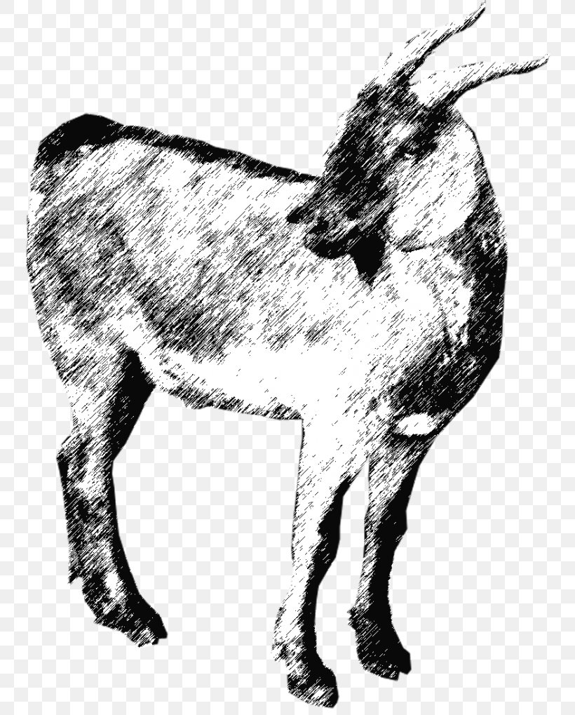 Goat Cattle Donkey Qurbani EZ Qurban Sdn. Bhd., PNG, 768x1019px, Goat, Aqiqah, Art, Black And White, Breed Download Free