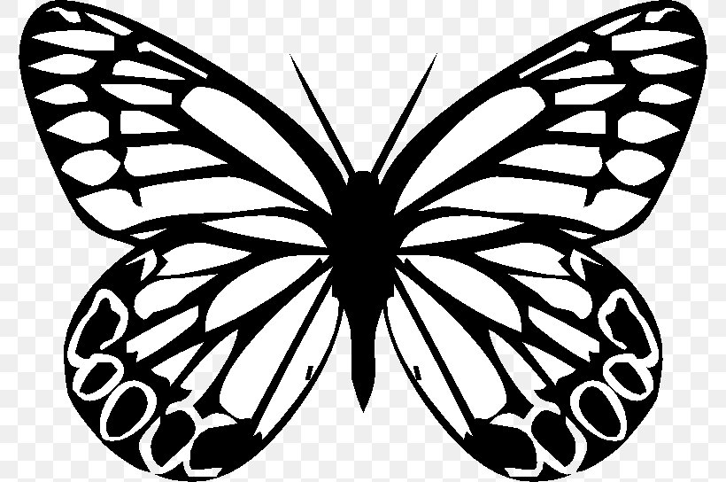 Monarch Butterfly Insect Silhouette Drawing, PNG, 778x544px, Butterfly, Animal, Arthropod, Black And White, Brush Footed Butterfly Download Free