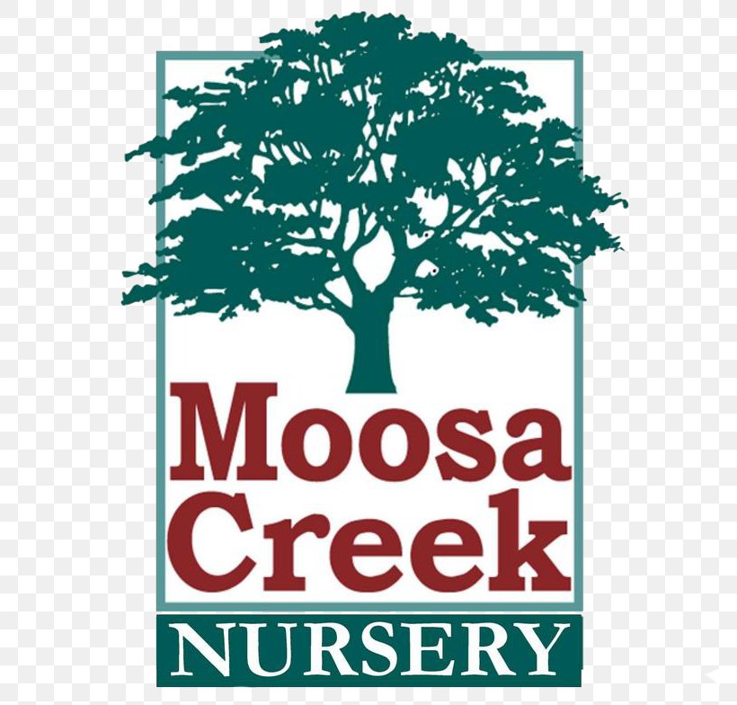 Moosa Creek Nursery Valley Center Garden Walter Andersen Nursery, PNG, 782x784px, Nursery, Area, Branch, Brand, Garden Download Free