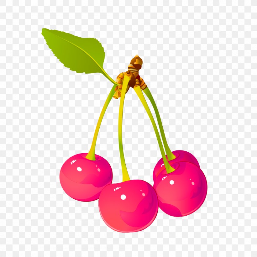 Cherry Illustrator Illustration, PNG, 1000x1000px, Cherry, Branch, Cartoon, Flowering Plant, Food Download Free
