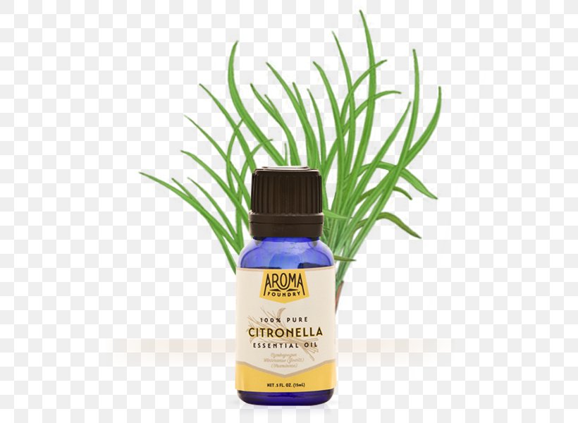 Citronella Oil Essential Oil Plant Aroma Compound, PNG, 559x600px, 100 Pure, Citronella Oil, Aroma Compound, Essential Oil, Foundry Download Free