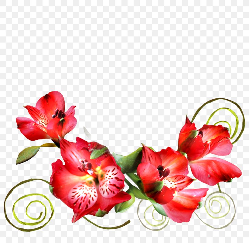 Floral Design Cut Flowers Blog Clip Art, PNG, 800x800px, Floral Design, Artificial Flower, Blog, Centerblog, Cut Flowers Download Free