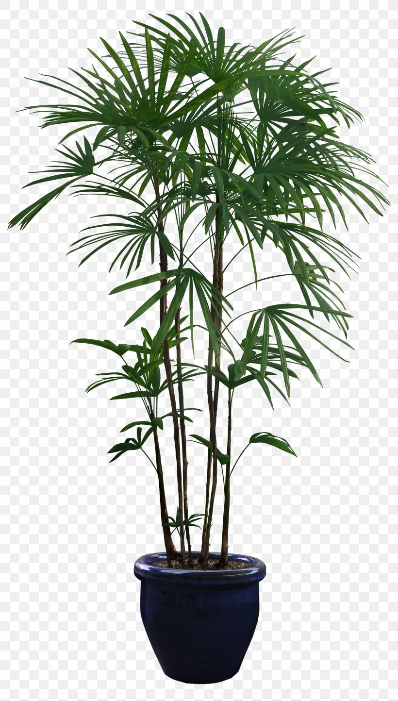 Houseplant Flowerpot, PNG, 2100x3700px, Houseplant, Arecales, Artificial Flower, Bamboo, Borassus Flabellifer Download Free