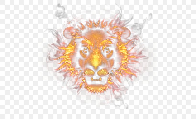 Lion Flame Fire, PNG, 500x500px, Lion, Big Cats, Carnivora, Carnivoran, Cat Like Mammal Download Free