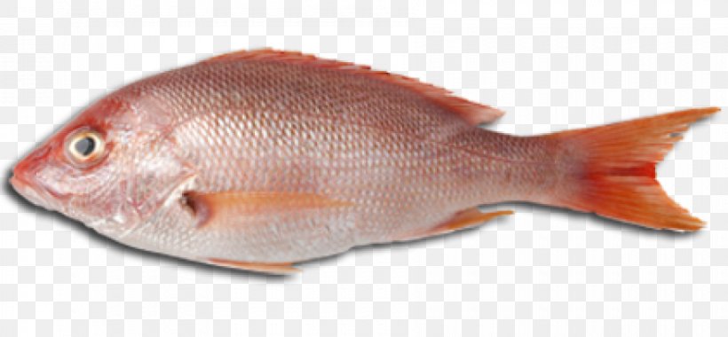 Seafood Fish As Food Barbecue Eating, PNG, 900x418px, Seafood, Animal Source Foods, Atlantic Cod, Barbecue, Canning Download Free