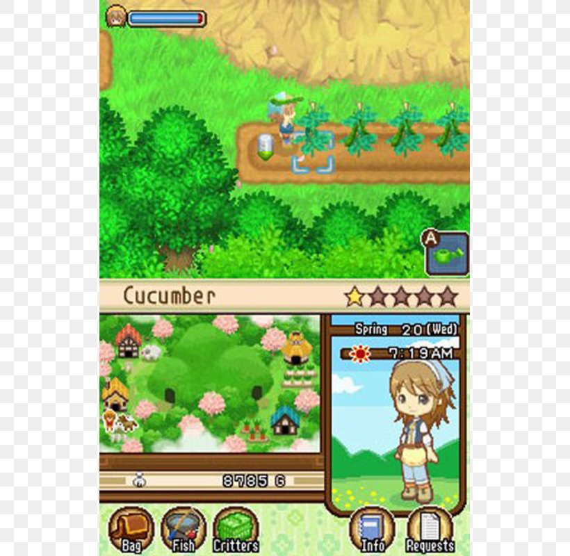 Harvest Moon: The Tale Of Two Towns Harvest Moon 3D: A New Beginning Harvest Moon DS Nintendo DS Nintendo 3DS, PNG, 800x800px, Harvest Moon The Tale Of Two Towns, Area, Biome, Cartoon, Ecosystem Download Free
