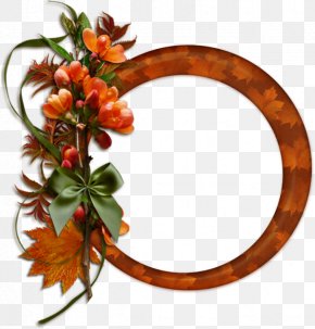 Flower Plant - Orange PNG