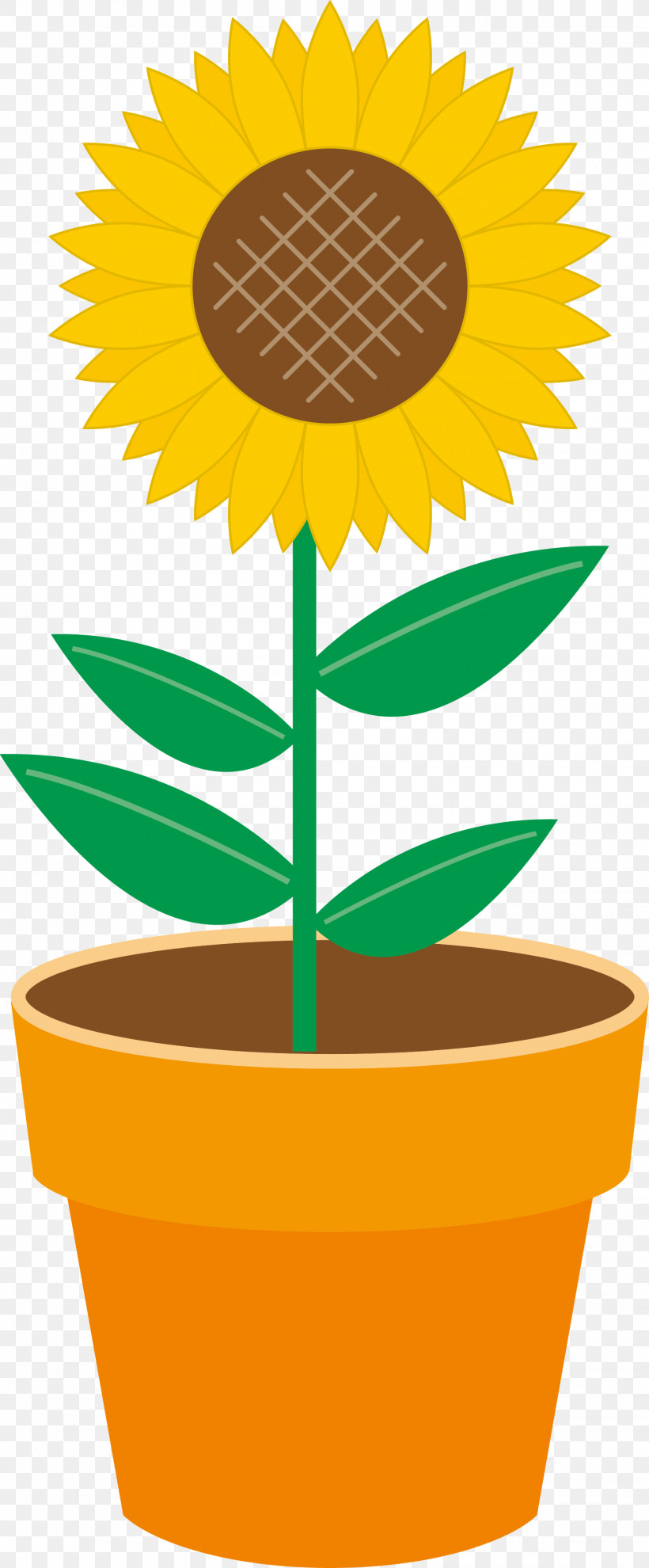 Sunflower, PNG, 1546x3734px, Sunflower, Cartoon, Flower, Flowerpot, Houseplant Download Free
