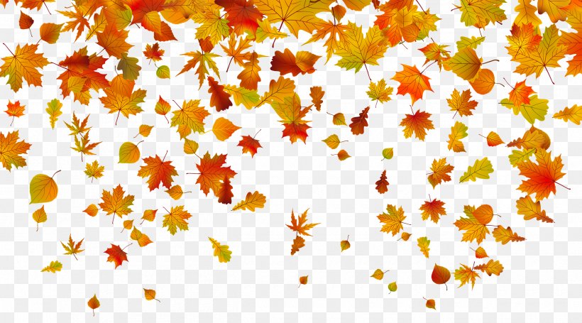 Autumn Leaf Color Clip Art, PNG, 2500x1388px, Autumn Leaf Color, Autumn, Branch, Flowering Plant, Illustration Download Free
