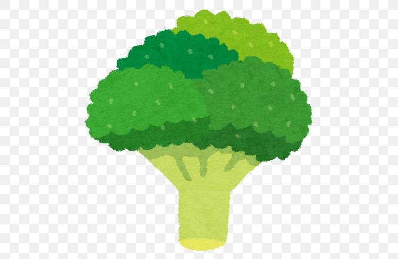 Broccoli Sulforaphane Cauliflower Vegetable Food, PNG, 515x533px, Broccoli, Cauliflower, Cooking, Food, Fruit Download Free