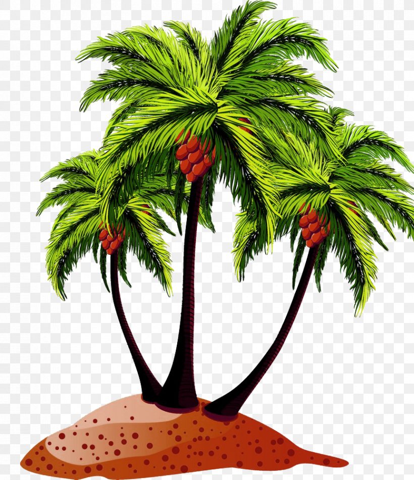Coconut Arecaceae Royalty-free Drawing, PNG, 862x1000px, Coconut, Arecaceae, Arecales, Cartoon, Coconut Crab Download Free