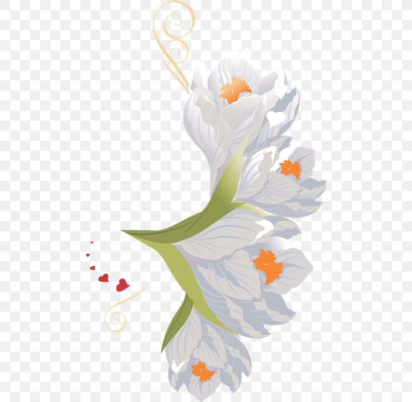 Floral Design Bird Beak Feather, PNG, 478x800px, Floral Design, Art, Beak, Bird, Character Download Free