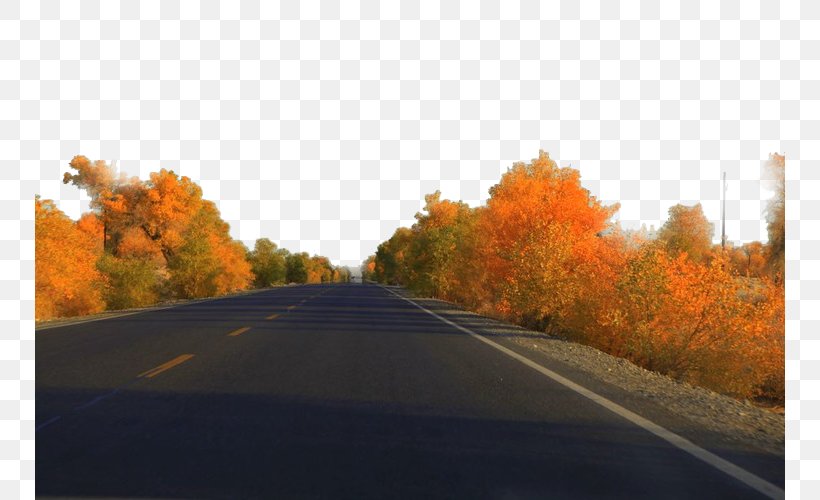 Highway Road Lane Computer File, PNG, 750x500px, Highway, Asphalt, Autumn, Desert, Erg Download Free