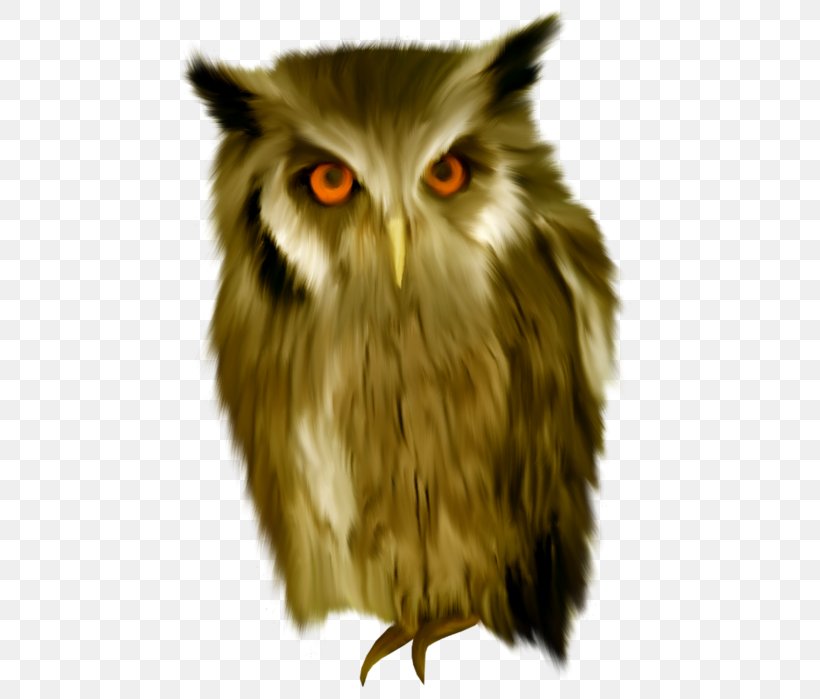 Tawny Owl Bird True Owl Snowy Owl, PNG, 466x699px, Tawny Owl, Animal, Beak, Bird, Bird Of Prey Download Free