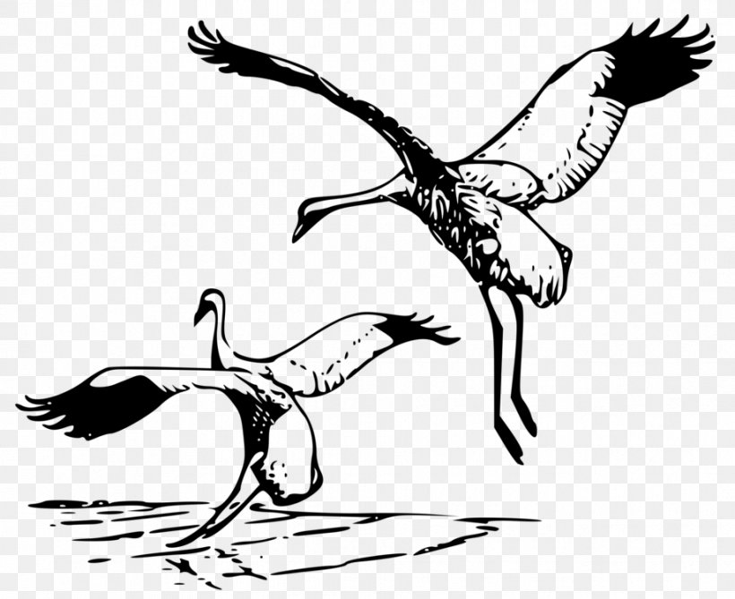 Whooping Crane Clip Art, PNG, 918x750px, Whooping Crane, Art, Beak, Bird, Blackandwhite Download Free