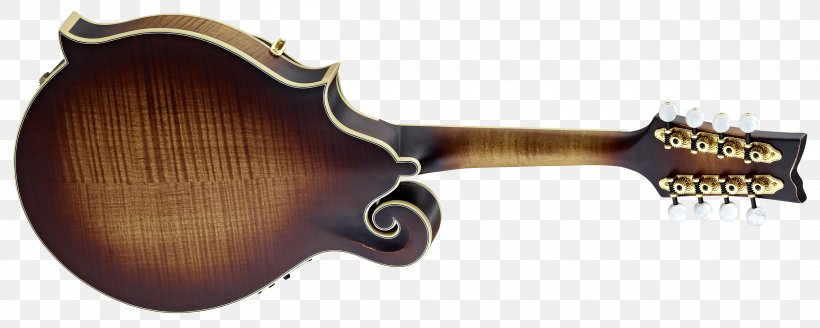 Acoustic-electric Guitar Mandolin Violin, PNG, 2500x1000px, Acousticelectric Guitar, Acoustic Electric Guitar, Acoustic Guitar, Antique, Bass Guitar Download Free