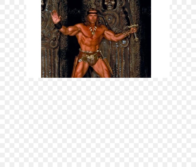 Conan The Barbarian Conan Of Cimmeria Film Aquilonia, PNG, 700x700px, Conan The Barbarian, Action Figure, Arnold Schwarzenegger, Barbarian, Character Download Free