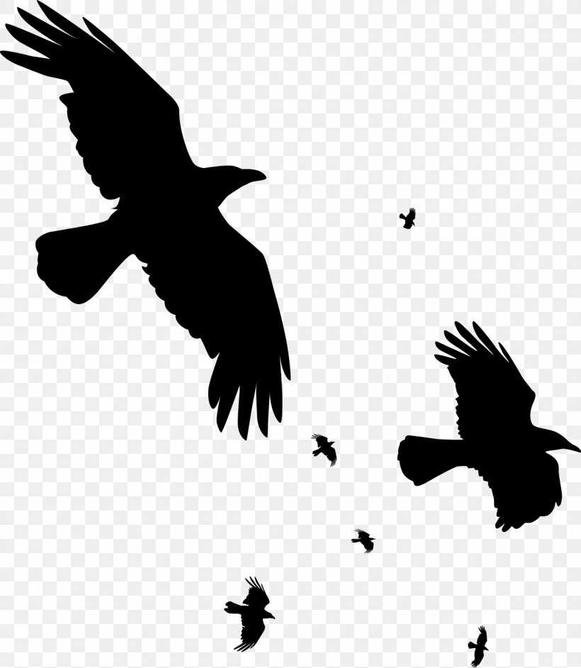 Crow Common Raven Clip Art, PNG, 1200x1379px, Crow, Amazon Web Services, Beak, Bird, Bird Of Prey Download Free