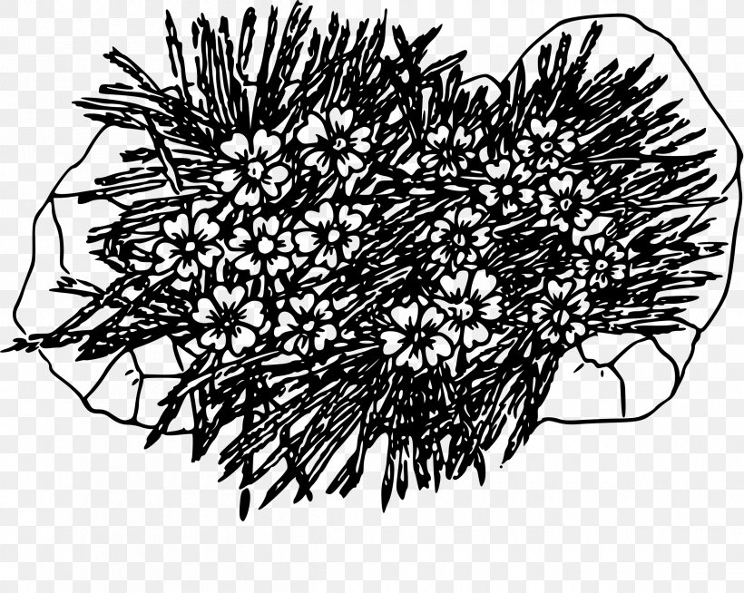 Drawing Color Moss Silene Acaulis Clip Art, PNG, 2400x1915px, Drawing, Black And White, Branch, Color, Coloring Book Download Free