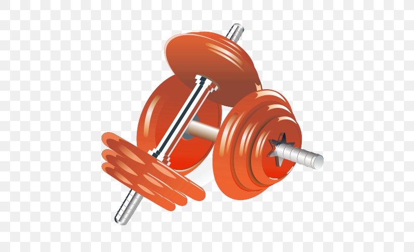 Dumbbell Physical Exercise Weight Training Illustration, PNG, 500x500px, Dumbbell, Barbell, Bodybuilding, Exercise Equipment, Fitness Centre Download Free