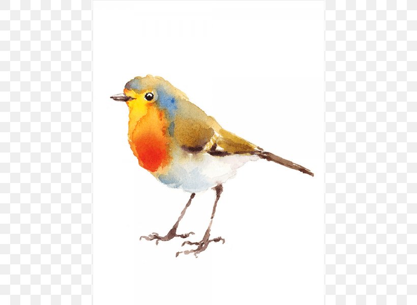 European Robin Bird Illustration Watercolor Painting Drawing, PNG, 600x600px, European Robin, Art, Beak, Bird, Drawing Download Free
