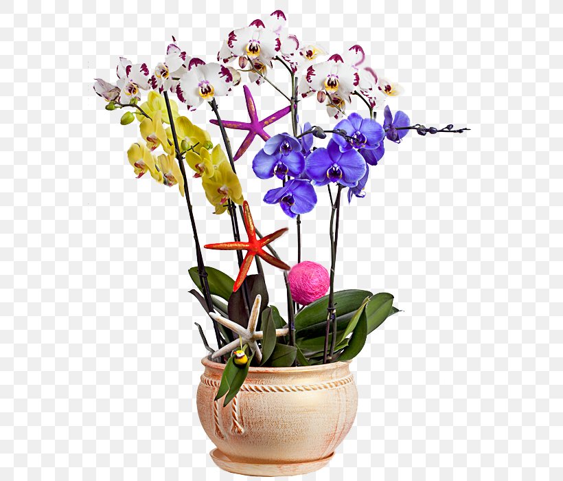 Flower Vase Clip Art, PNG, 564x700px, Flower, Artificial Flower, Cut Flowers, Dendrobium, Designer Download Free