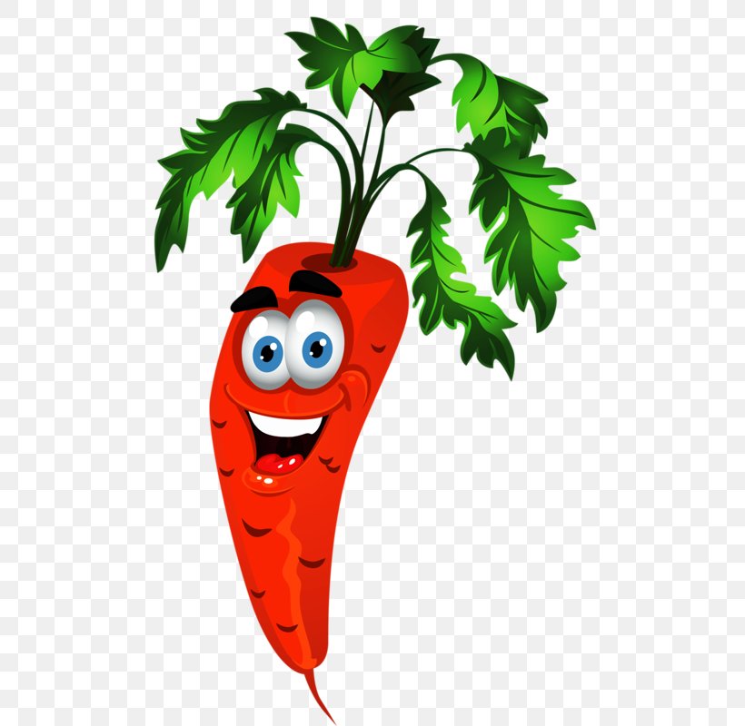 Fruit Vector Graphics Drawing Vegetable Cartoon, PNG, 530x800px, Fruit, Cartoon, Drawing, Fictional Character, Flowerpot Download Free
