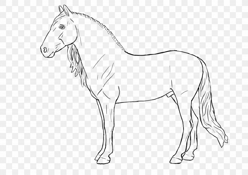Mane Foal Bridle Mustang Stallion, PNG, 3508x2480px, Mane, Animal, Animal Figure, Artwork, Black And White Download Free