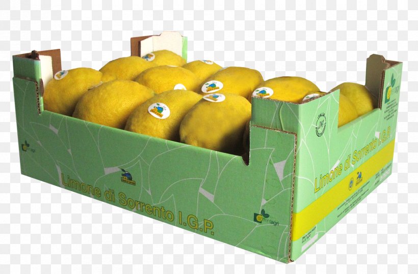 Limoncello Fruit Lemon Liqueur Limone Di Sorrento, PNG, 1725x1134px, Limoncello, Arancello, Biscuit, Box, Citrus Download Free