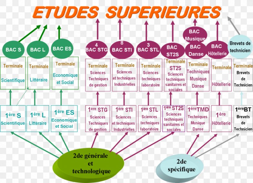 Après Le Bac S: Bien Choisir Pour Réussir Seconde Générale Et Technologique Career Counseling Baccalauréat, PNG, 1053x763px, Seconde, Area, Berufsausbildung, Brand, Career Counseling Download Free