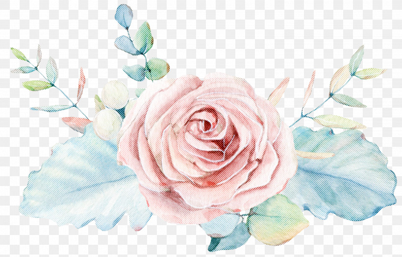 Garden Roses, PNG, 3000x1924px, White, Artificial Flower, Blue Rose, Bouquet, Cut Flowers Download Free