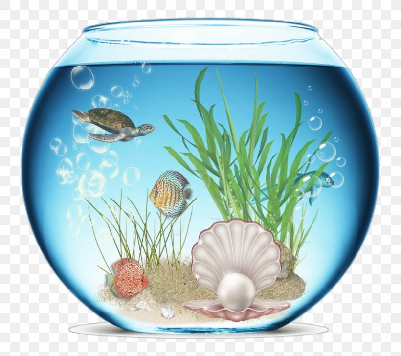 Aquarium Icon, PNG, 851x756px, Aquarium, Aquarium Decor, Dishware, Fish, Freshwater Aquarium Download Free