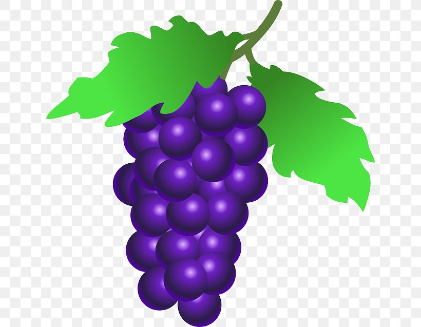 Common Grape Vine Clip Art, PNG, 640x637px, Common Grape Vine, Drawing, Flowering Plant, Food, Fruit Download Free