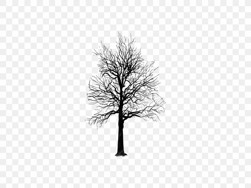 Email White Crop 18 May Logo, PNG, 1600x1200px, Email, Black And White, Branch, Crop, Logo Download Free