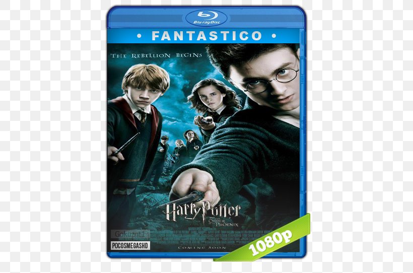 Harry Potter And The Order Of The Phoenix Harry Potter And The Philosopher's Stone Harry Potter And The Chamber Of Secrets Film, PNG, 542x542px, Harry Potter, Dudley Dursley, Dvd, Film, Order Of The Phoenix Download Free