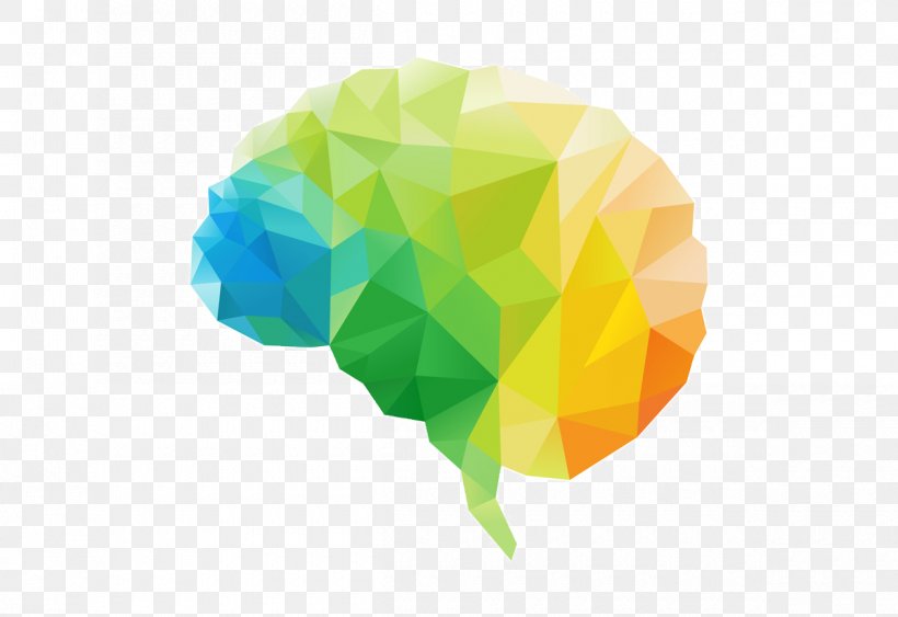 Human Brain Polygon Lateralization Of Brain Function, PNG, 1200x825px, Brain, Cerebral Hemisphere, Frontal Lobe, Green, Human Brain Download Free