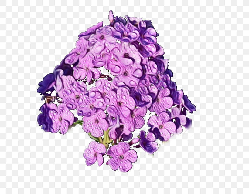 Lavender, PNG, 640x640px, Watercolor, Cut Flowers, Flower, Hydrangea, Lavender Download Free