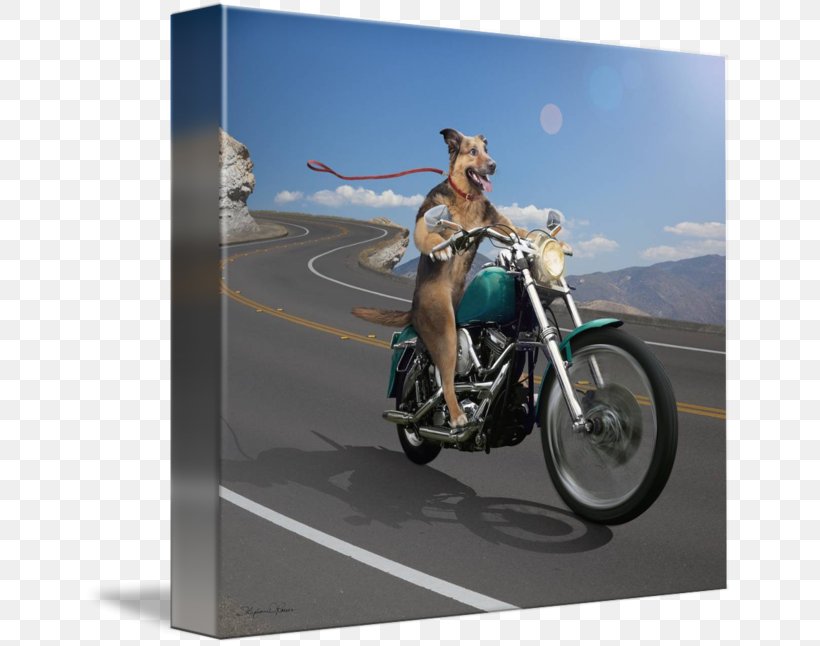 Motorcycle Accessories Motor Vehicle German Shepherd, PNG, 650x646px, Motorcycle Accessories, Advertising, Commercial Vehicle, Dog, Driving Download Free
