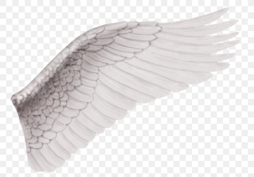 Angel Clip Art, PNG, 818x572px, Angel, Drawing, Feather, Ink, Wing Download Free